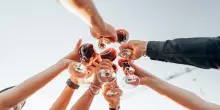 Quali sono i migliori vini delle Marche secondo il Gambero Rosso? La classifica 2026