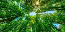 Rifugi climatici e giardini della pioggia contro i picchi di calore
