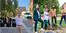 Alberi in vaso a Bologna, via al trasloco dalle piazze alle scuole