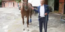 Inizia la stagione del trotto estivo 2025 all'Ippodromo del Savio