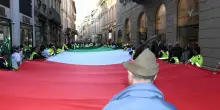 Il raduno delle penne nere in città: "Siamo orgogliosi di essere qui"