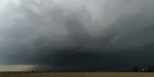 L’ondata di maltempo. Grandine e forte vento. Rami sulla Superstrada