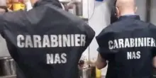 Scarafaggi morti e unto in cucina. Chiuso il ristorante dello chalet