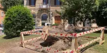 Alberi a rischio "Servono 100mila euro"
