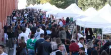 Bologna in festa con il San Lócca Day, le bancarelle dal Meloncello al Santuario