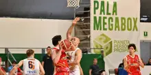 Loreto Pesaro sconfitto da Stella EBK Academy Roma nella semifinale playoff