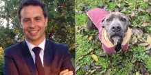 Comune rischia il default: “Nove cani da mantenere, ci costano 40mila euro”