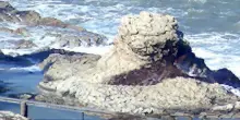 Passetto Alga tossica, ora scatta l’emergenza