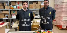 Fiori illegali di marijuana. Due quintali e mezzo di droga nel retrobottega