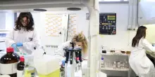 Unicam, quasi 700 anni di storia: "Scienza, innovazione e ricerca. Matricole in crescita del 10%"
