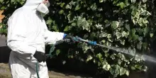 Zanzara tigre, a Carpi riprendono i trattamenti