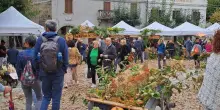Il foliage e le feste d’autunno. La montagna si riempie di turisti
