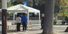 "Noi, tagliati fuori". La petizione contro i lavori in Romea