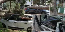 Albero caduto sull’auto per il maltempo, chi paga? L’avvocato spiega il nodo risarcimento