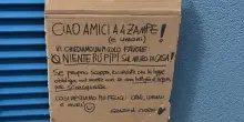 Pipì dei cani sui muri: "Serve collaborazione"
