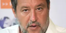 Coda amputata al cane, Salvini:: "Pene più severe per chi maltratta"