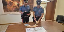 Truffa da 13mila euro: finto carabiniere si fa consegnare soldi e gioielli da un'anziana