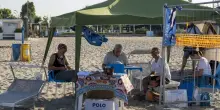 La tartaruga sposta il concerto