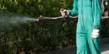 Nuovo caso sospetto a Medolla. Non confermato quello a San Felice