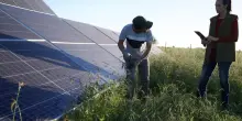 Agrivoltaico, lo scontro. La Provincia al governo:: "Potere ai sindaci: non hanno più armi"
