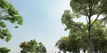 Lavori all’ex mercato bestiame. Ecco il Parco dell’Inclusività con giardini, orti e spazi fitness