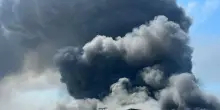 Rogo ’Carbon line’: frutta e verdura ora si possono mangiare
