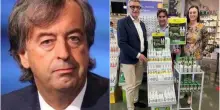 Zanzara tigre a Pesaro, Burioni: “Il repellente promosso dal sindaco non funziona”