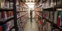 Topi e infiltrazioni al deposito librario: "Riaprirà alla fine del mese"