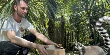 Parco zoo, un giugno ricco di eventi imperdibili