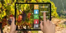 Space Agritech, l’agricoltura vicina allo spazio
