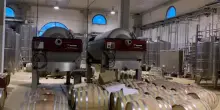 Feudi del Pisciotto, il fascino della Sicilia tra vino, storia e arte