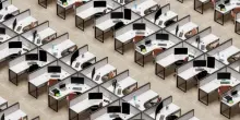 Pubblica Amministrazione, le mansioni ripetitive che non sopravviveranno all’IA. Il 57% dei dipendenti pubblici è già coinvolto