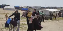 Genocidio a Gaza, uno studio smonta i dati di UN Women: numeri sui morti travisati e fonti fake