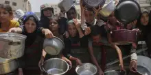 Cibo a Gaza: ogni giorno ne entra più che in tutta l’Africa Centrale. Il vero obiettivo dei Pro-Pal? Essere fermati prima