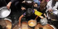 Cibo, medicine e aiuti: a Gaza non c’è carestia