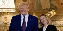 Trump fa il bullo con Albanese, Meloni tace per non irritarlo