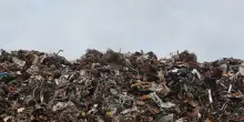 Ecomafia, l’allarme shock di Legambiente sull’Italia: “Nel 2024 commessi oltre 40mila reati contro l’ambiente, ben 111 al giorno”
