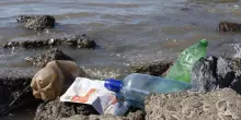 Tra reati ambientali e inquinamento “il 2024 è stato l’annus horribilis per le coste italiane”. Lo rivela il report di Legambiente