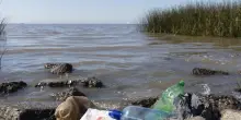 Oceani e mari in pericolo, l’appello di Greenpeace: “Italia in ritardo, è tempo di agire”