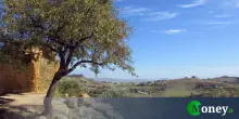 Esenzione Imu terreni agricoli montani, chi è esonerato dal pagamento?