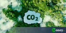 Le 10 aziende italiane che hanno ridotto maggiormente le emissioni di carbonio in 5 anni