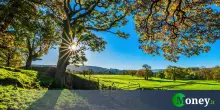 È legale recintare un terreno agricolo?
