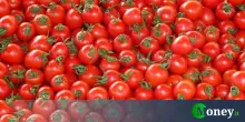 Come va oggi Cirio, dopo il crac da oltre €1 milardo che mise in ginocchio 35mila risparmiatori
