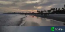 Spiagge chiuse in Spagna dopo la scoperta di una creatura marina velenosa