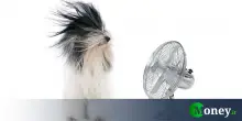 Troppo caldo, i proprietari devono installare questi dispositivi nelle case dei loro inquilini?