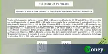 Come si vota referendum 2025, fac-simile e colori schede