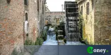Questo giardino botanico è il più antico del mondo ed è a 3 ore da Milano