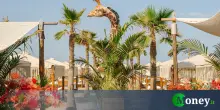 Quanto costa andare al Twiga? I prezzi della spiaggIa di Forte dei Marmi
