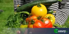 Bonus agricoltura fino a 200.000 euro per acquisti, investimenti, ampliamento azienda