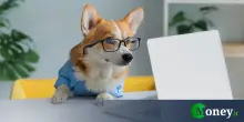 Si può portare il cane in ufficio?